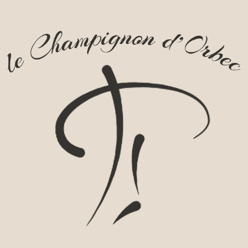 Le champignon d'Orbec